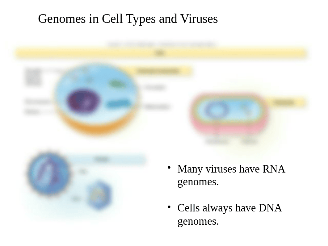 BIO220 - CHAPTER 8 AND 5 POWERPOINT  - MICROBIAL GENETICS AND VIRUSES.pptx_d9dcfa9ez3q_page5