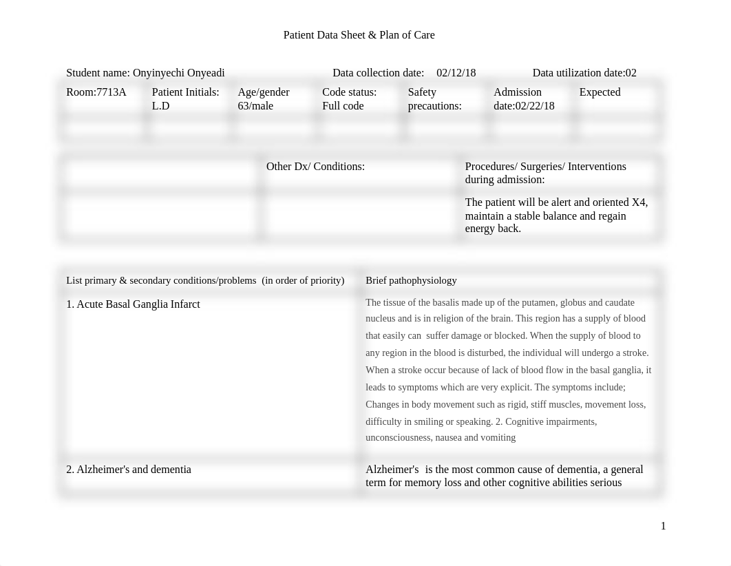 Blank Patient Data Sheet  Plan of Care Template-2_d9df5jv7djw_page1