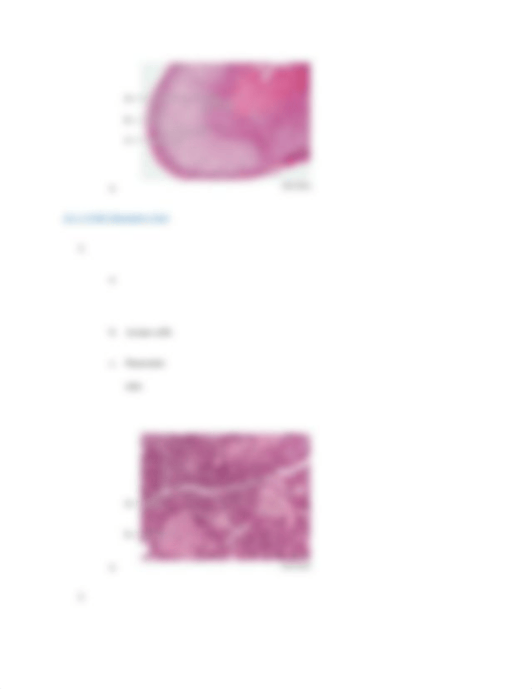 18 endocrine lab.docx_d9dq793bk09_page5