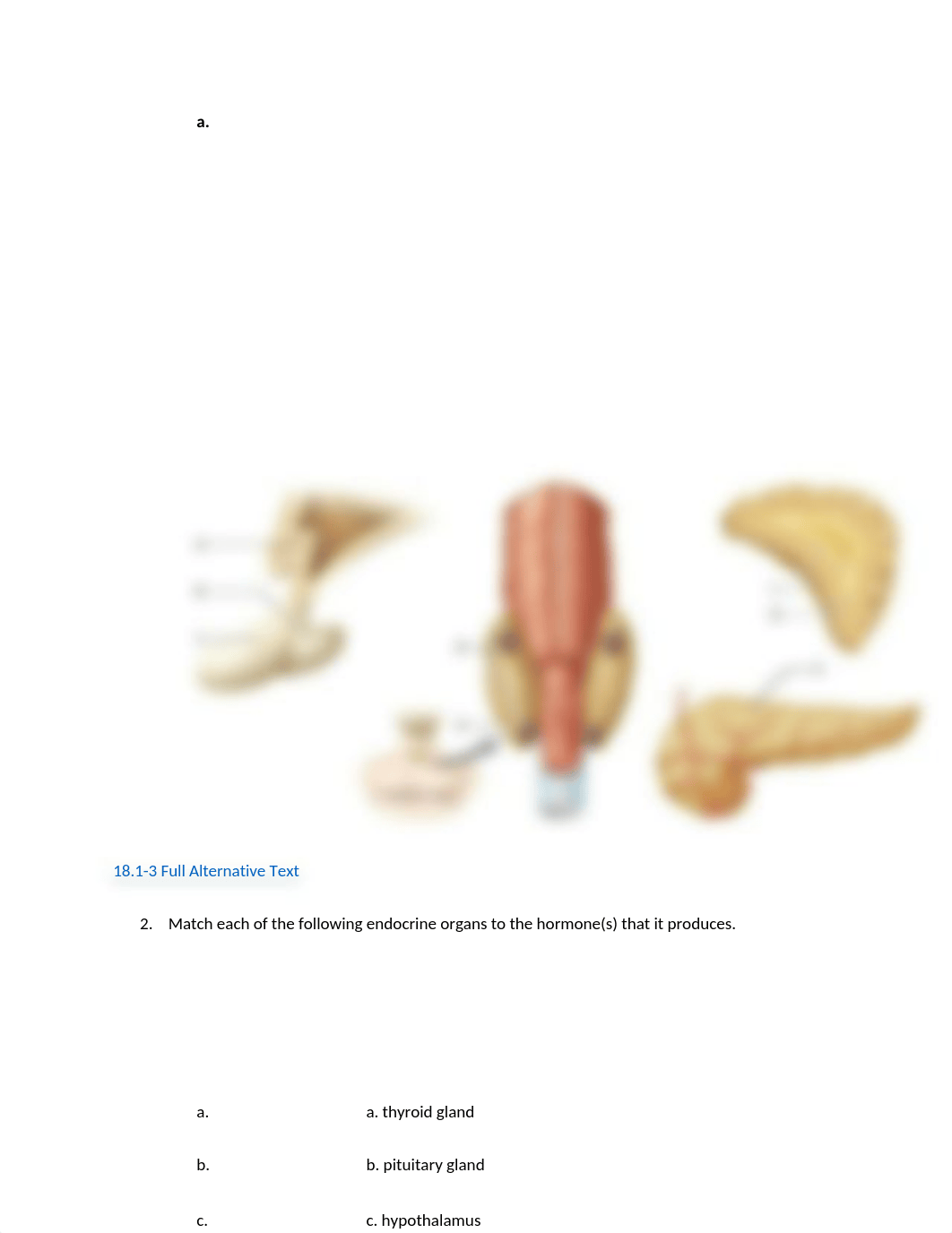 18 endocrine lab.docx_d9dq793bk09_page2