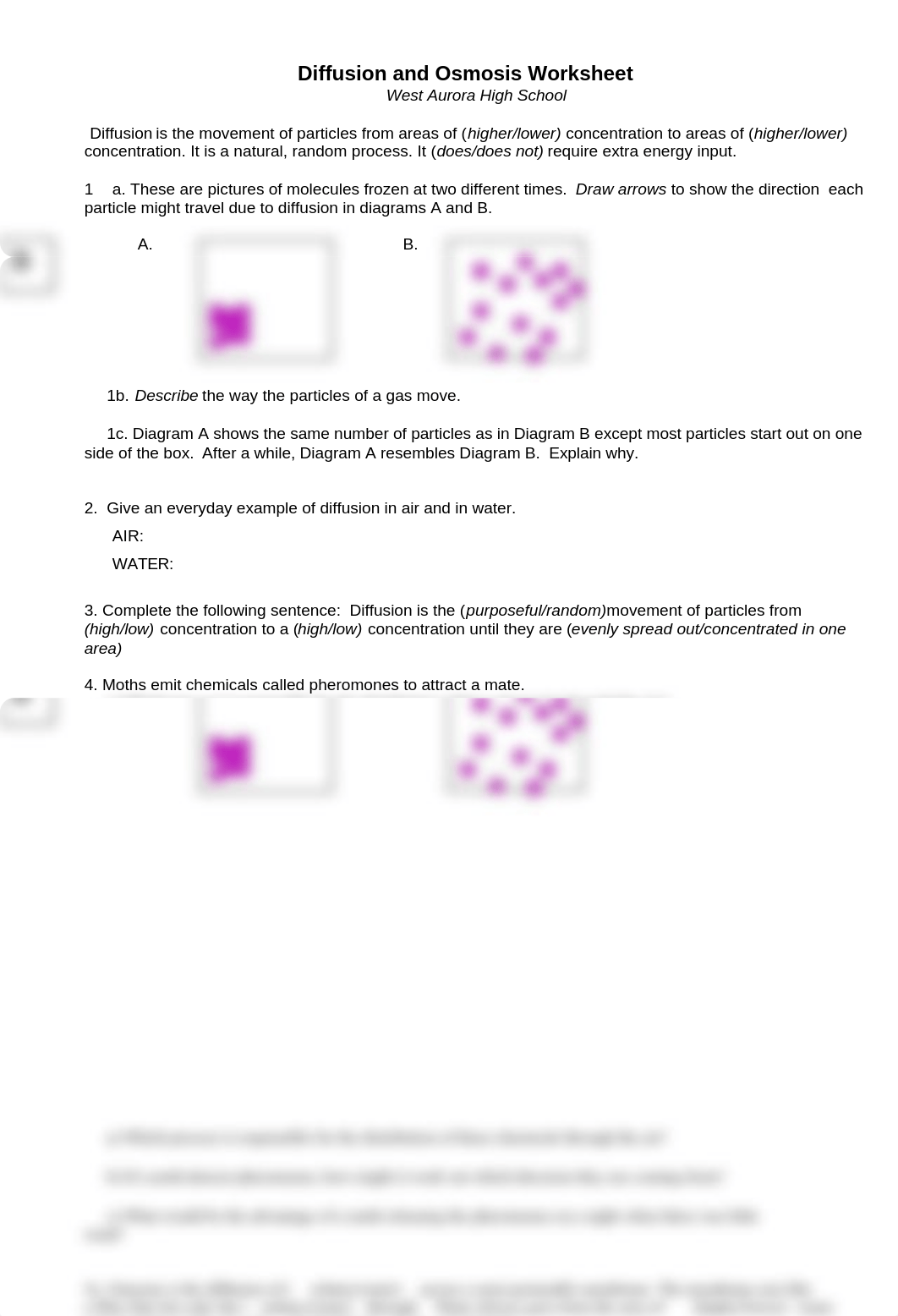 Diffusion and Osmosis Worksheet .doc_d9dva90oh75_page1