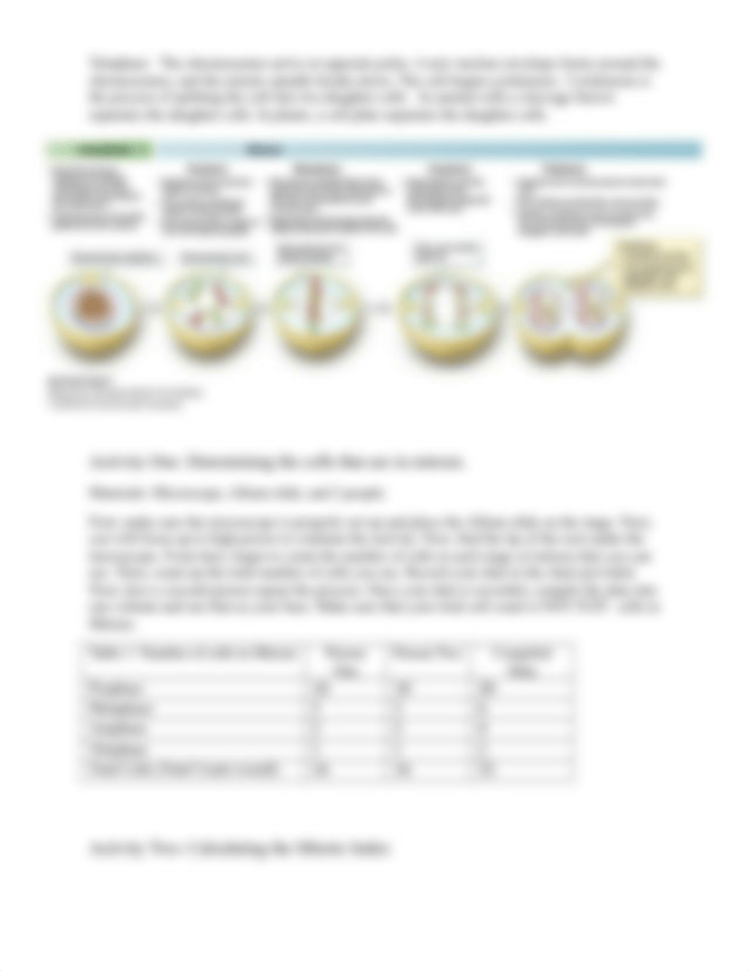 Mitosis Lab- Courtney Kappus.docx_d9dy8vqhie5_page4