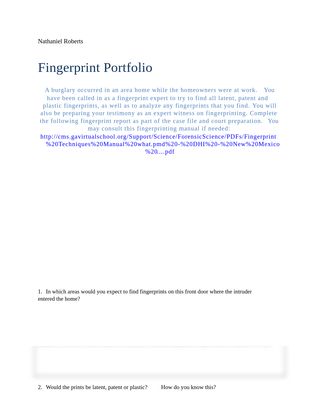 FingerprintPortfolioDoc.doc_d9dyfl5awpe_page1