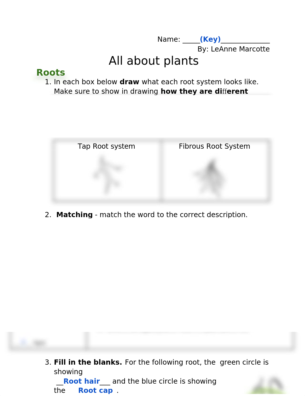 Plant Worksheet (Answer Key).docx_d9dymz301b5_page1