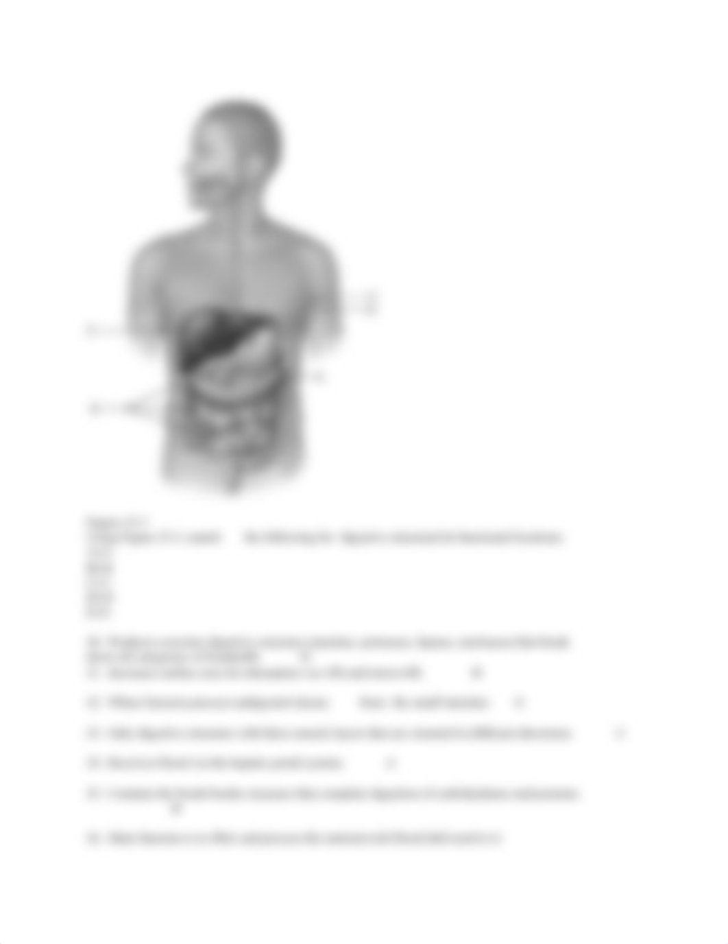 BIOL2402 EXAM 3 KEY 2017.docx_d9e6tad3hvv_page3