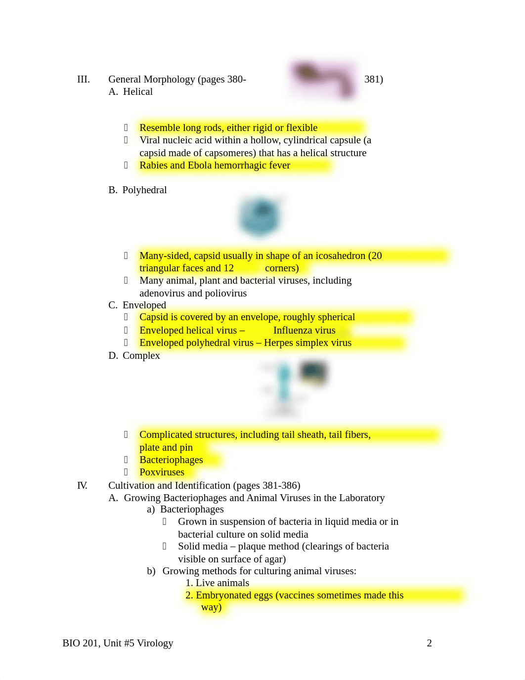 BIO201Unit5.docx_d9e92q03q0e_page2