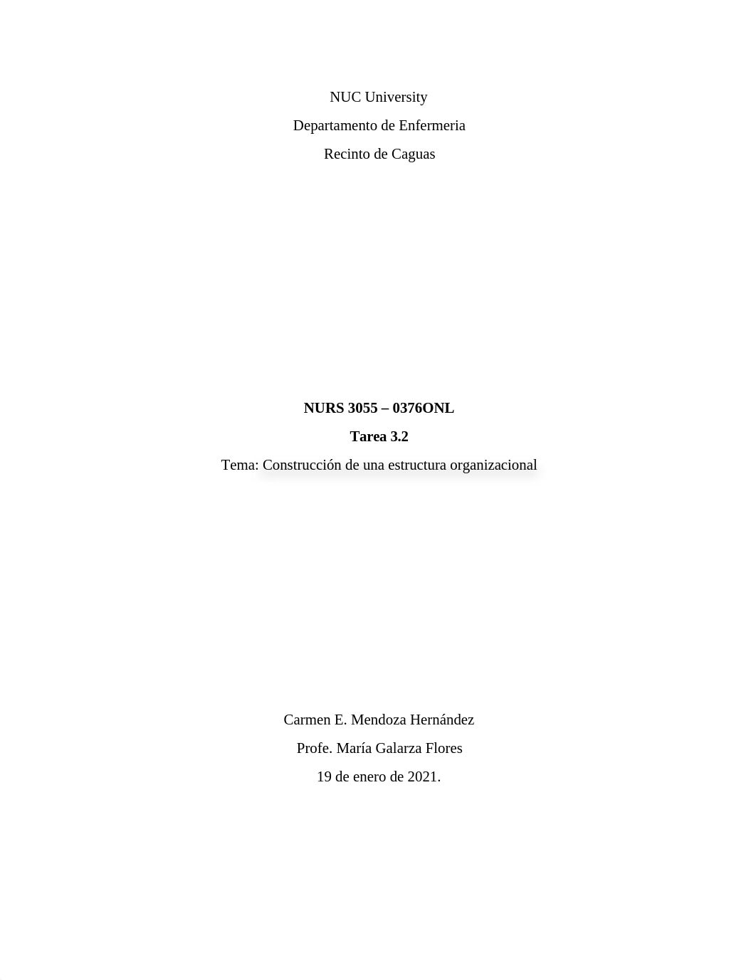 NURS 3055 Tarea 3.2 Tema Construccion de una estructura organizacional 18enero21.docx_d9ebtbmss3b_page1