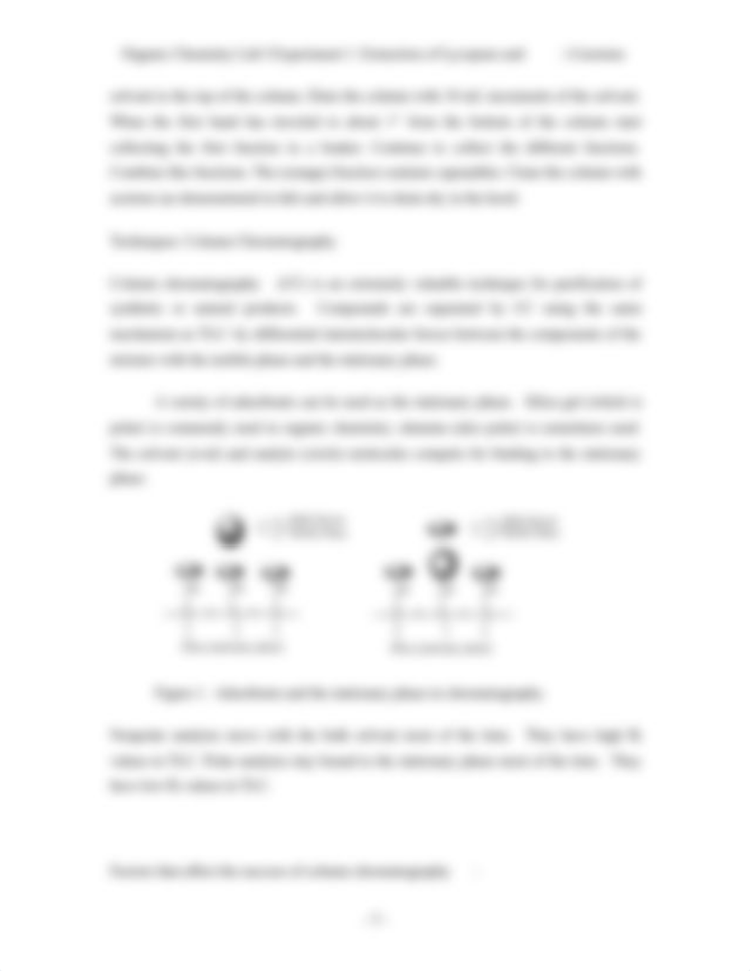 Extraction of Lycopene and Beta Carotene_d9edvgskewh_page3