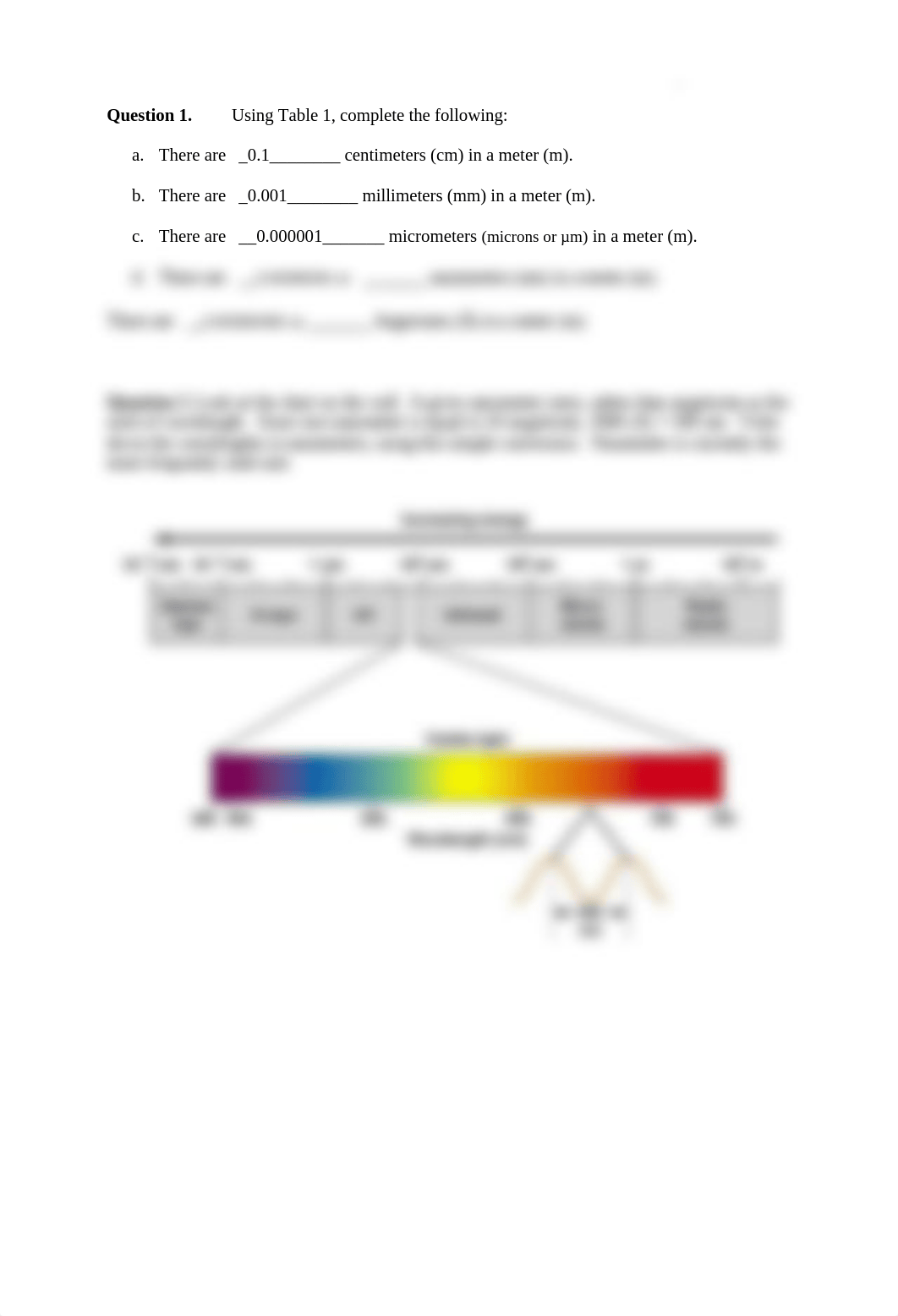 Photosynesis F 21.docx_d9efmbyx75h_page3