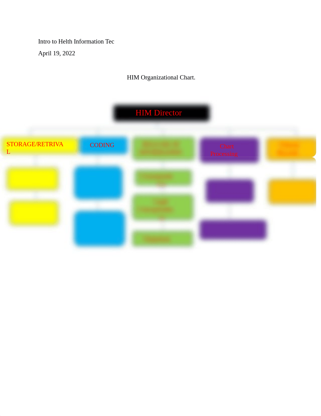 HIM Organizational Chart, Mission and Vision.docx_d9egpcetsuu_page1