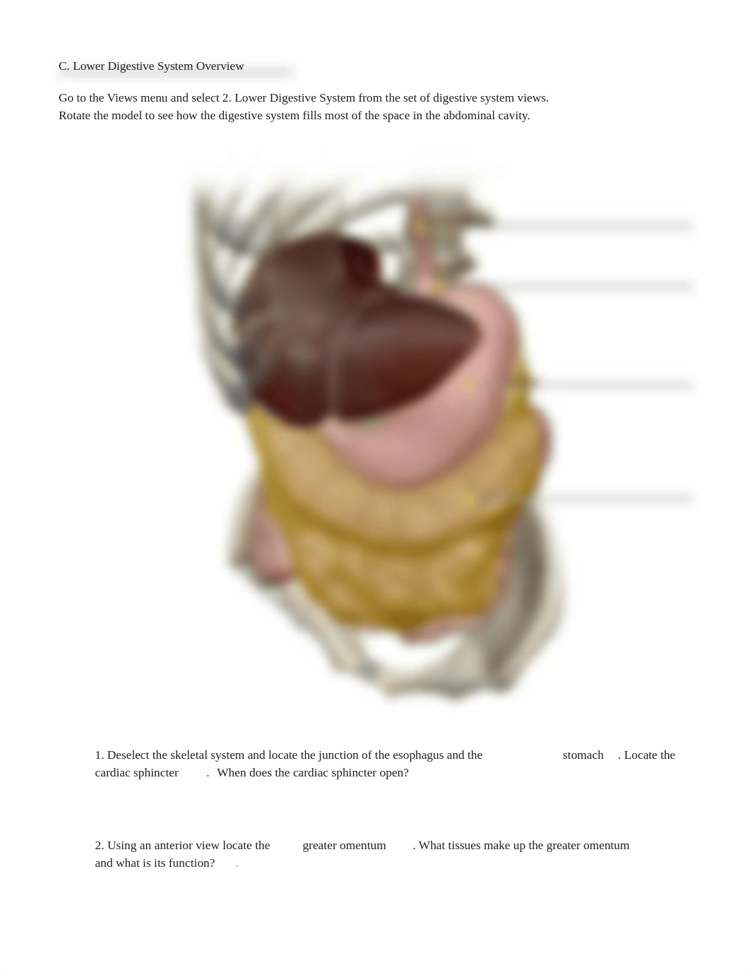 Digestive_System_PDF_Activity Part 2.pdf_d9eiha94az0_page3