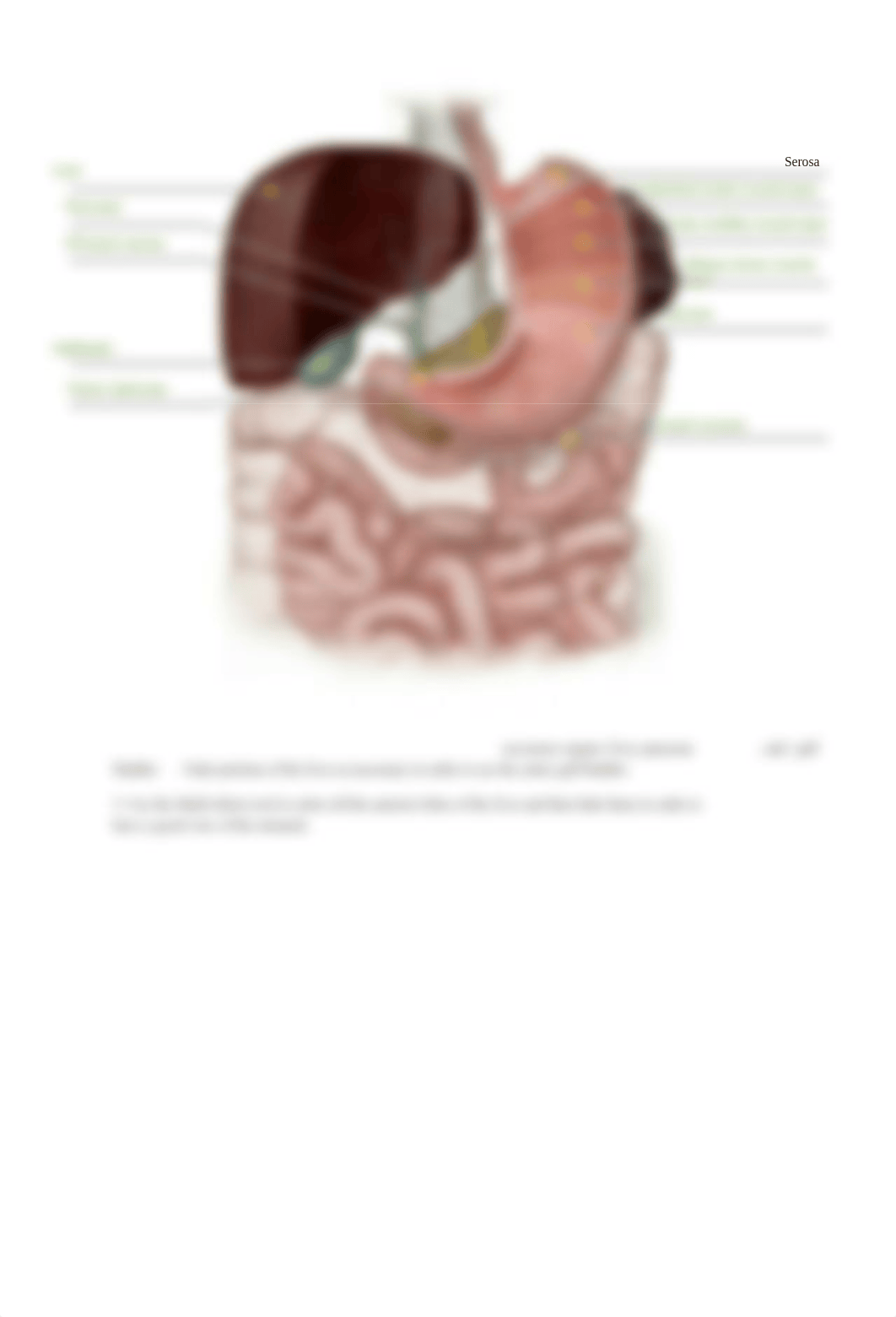 Digestive_System_PDF_Activity Part 2.pdf_d9eiha94az0_page5