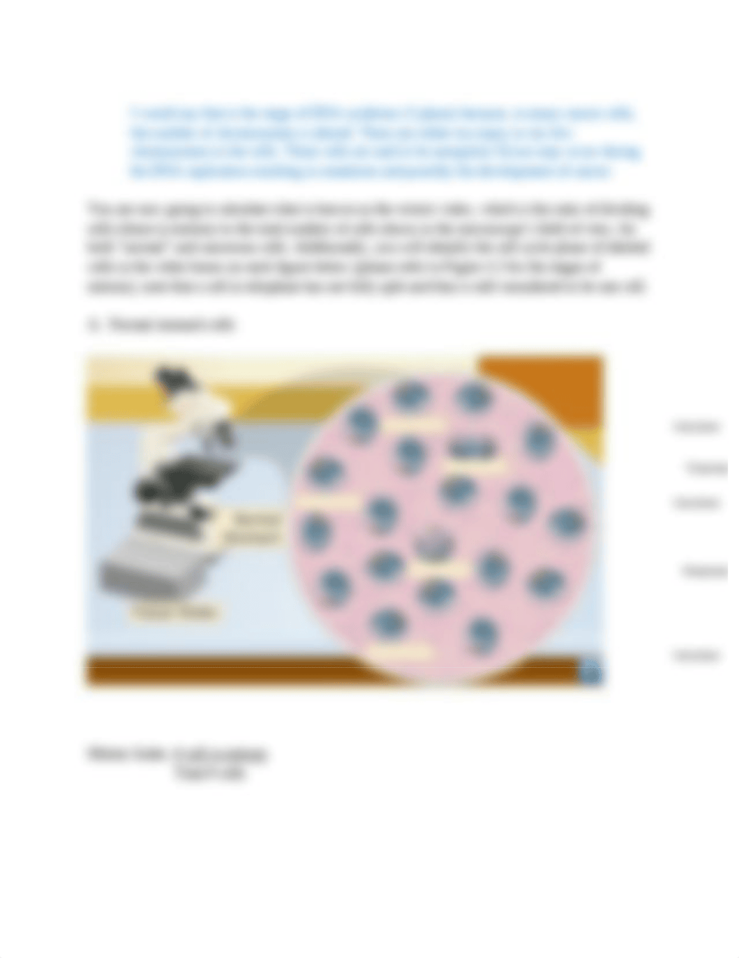 Lab 4 - Cancer.docx_d9ekf4zrhxf_page2