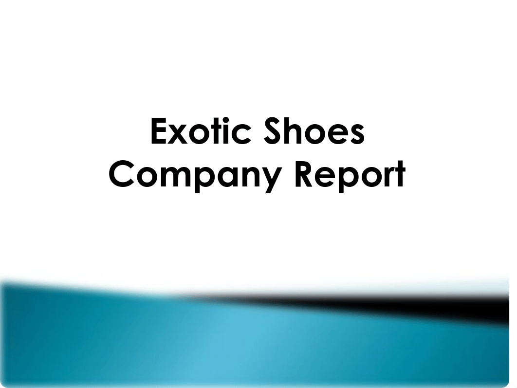 72605792-BSG-Exotic-Shoes-Company-Report_d9emtgza4m8_page1