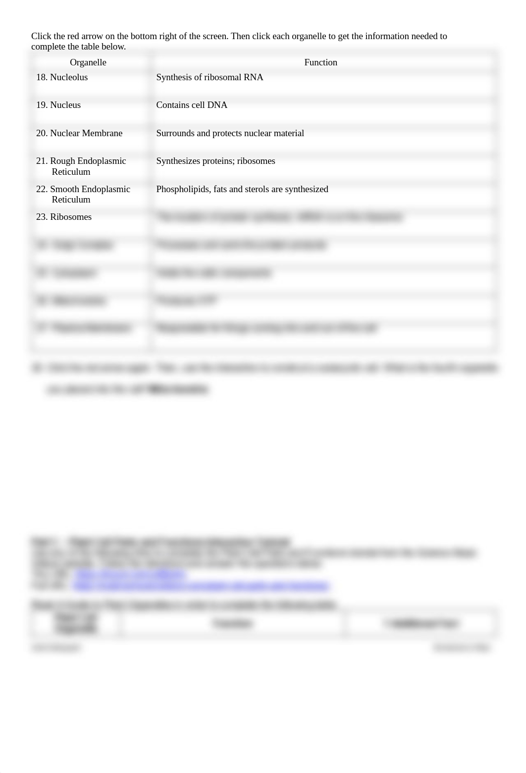 Handout for Cells Webquest (1).pdf_d9enmsewmou_page2