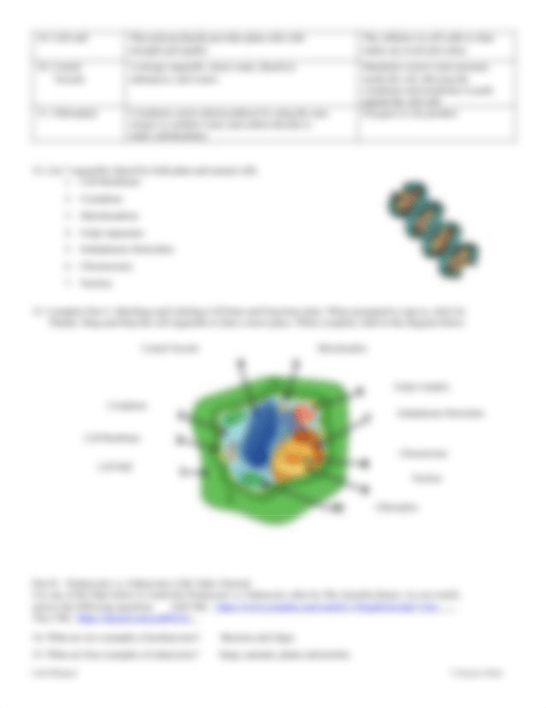 Handout for Cells Webquest (1).pdf_d9enmsewmou_page3