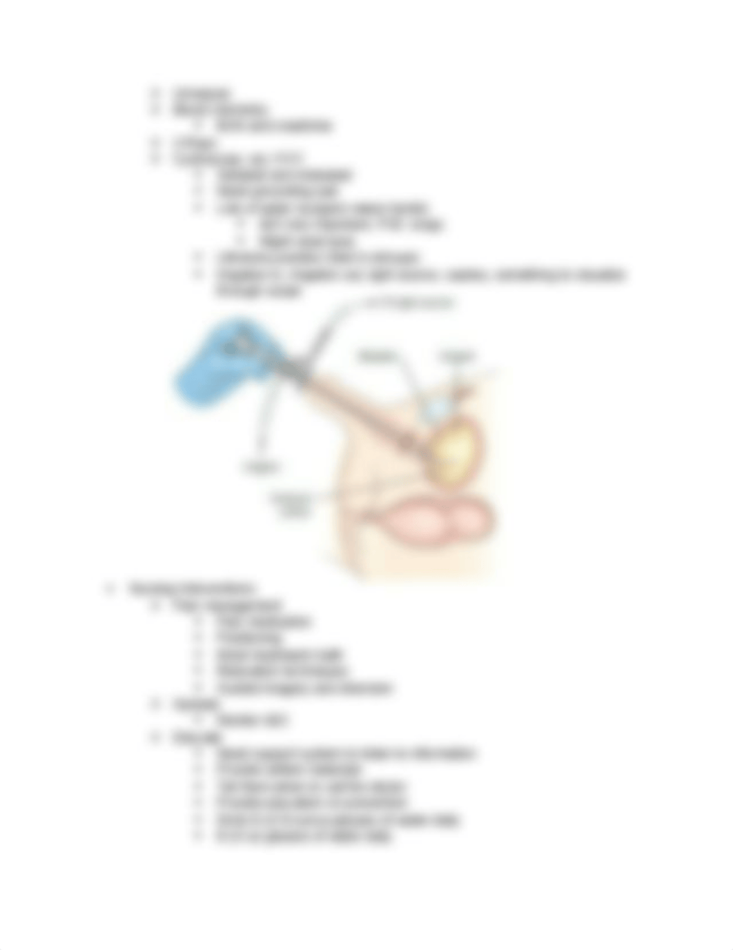 Renal Calculi Study Guide.docx_d9eq0iktyld_page2