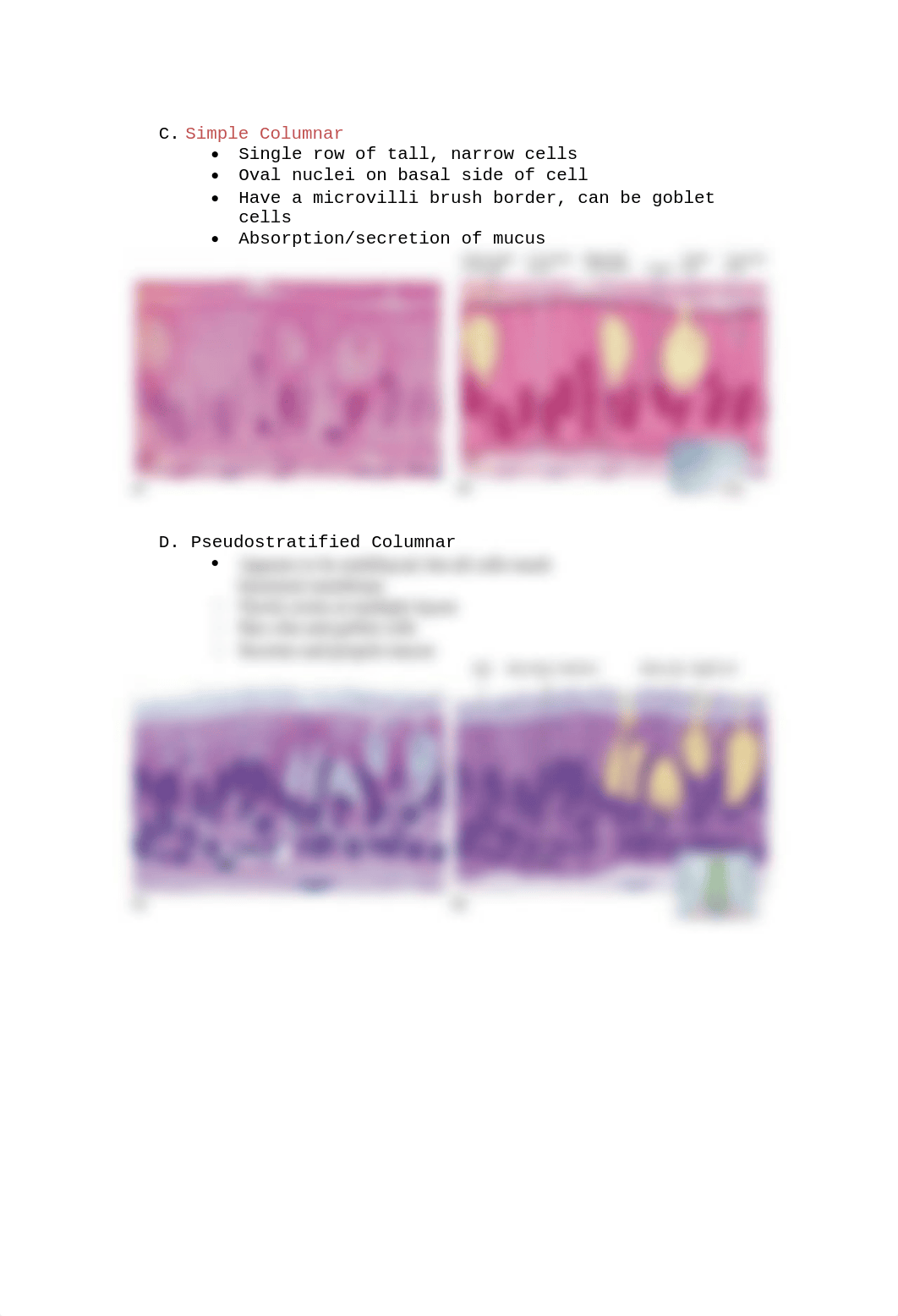 anatomy test 1 Epithelial Tissue.docx_d9es6wytezr_page2