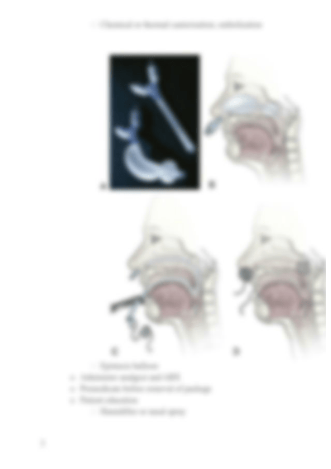 Upper respiratory.docx_d9ez0h24t5i_page3