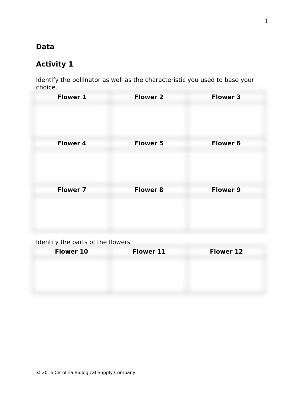 Anatomy of Flowering Plants worksheet.docx_d9fb4z2h2g6_page2