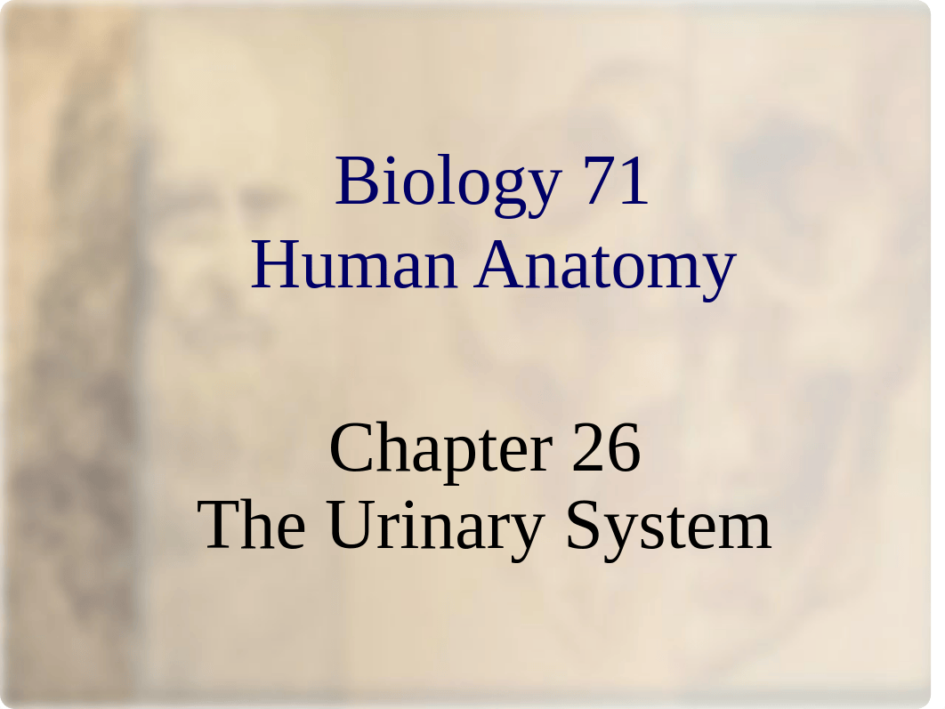 Chapter 26 Urinary_d9fd78pnpog_page1