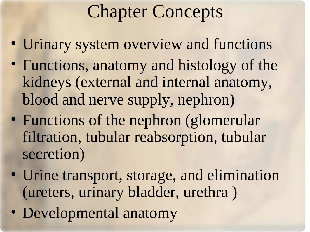 Chapter 26 Urinary_d9fd78pnpog_page2