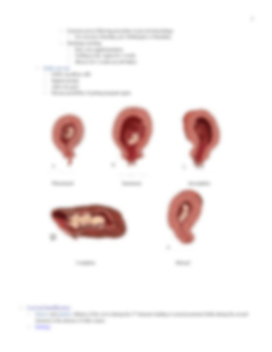 Chapter 28 Hemorrhagic Disorders Outline.docx_d9fhdcsvrxe_page3