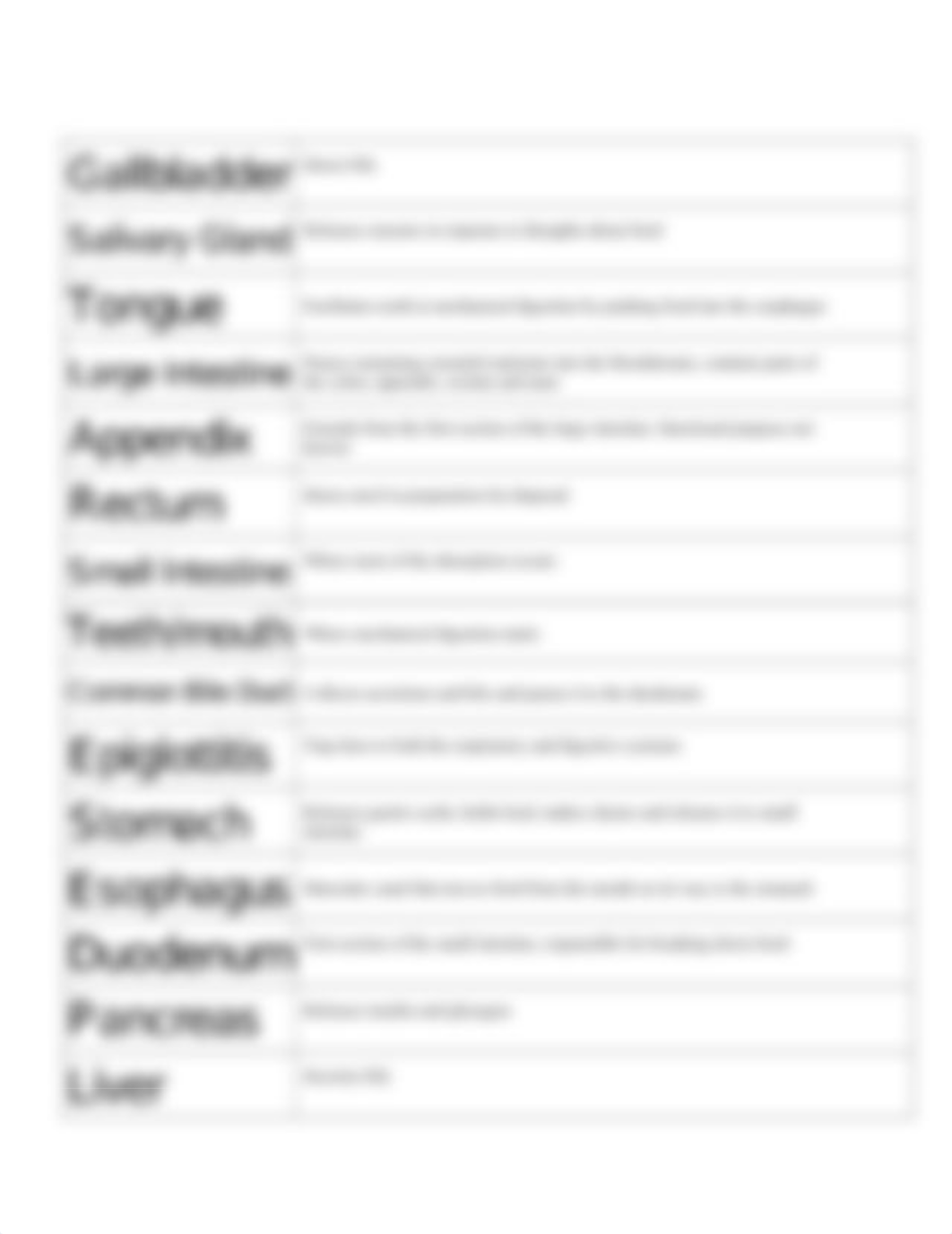 Assignment 5 Digestion Worksheet.pdf_d9fnoyewstf_page2