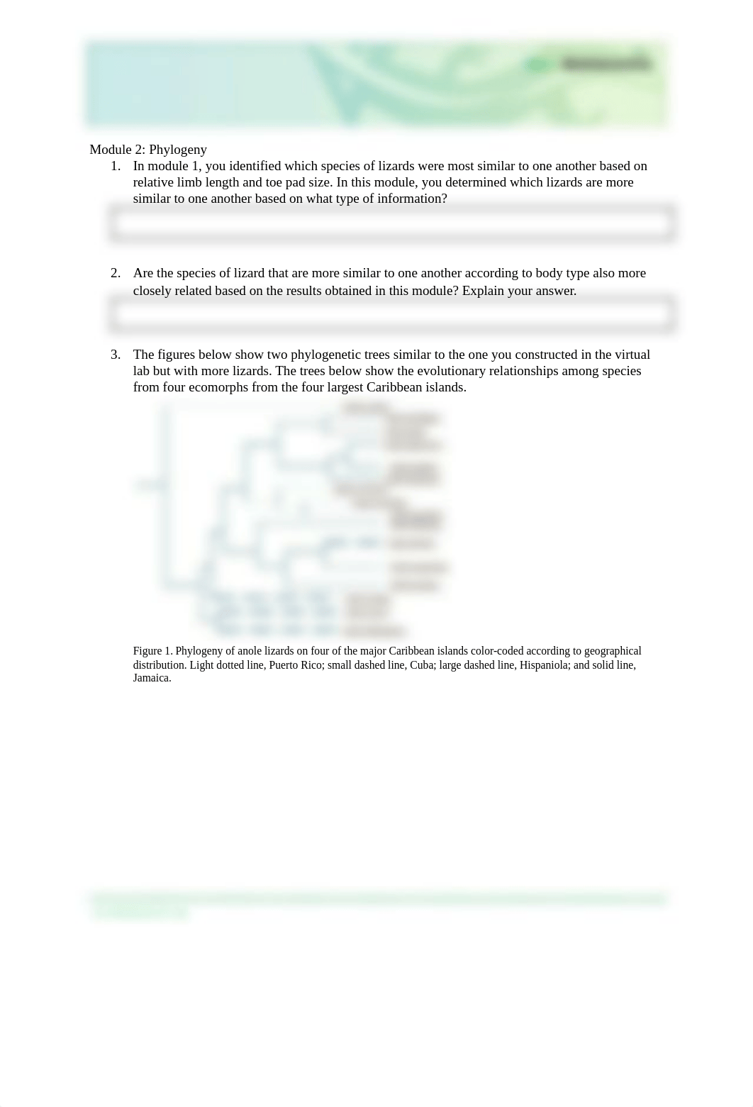 Module 2&3 - Lizard Evolution Worksheet_Editable.pdf_d9fnvk3x0y6_page1