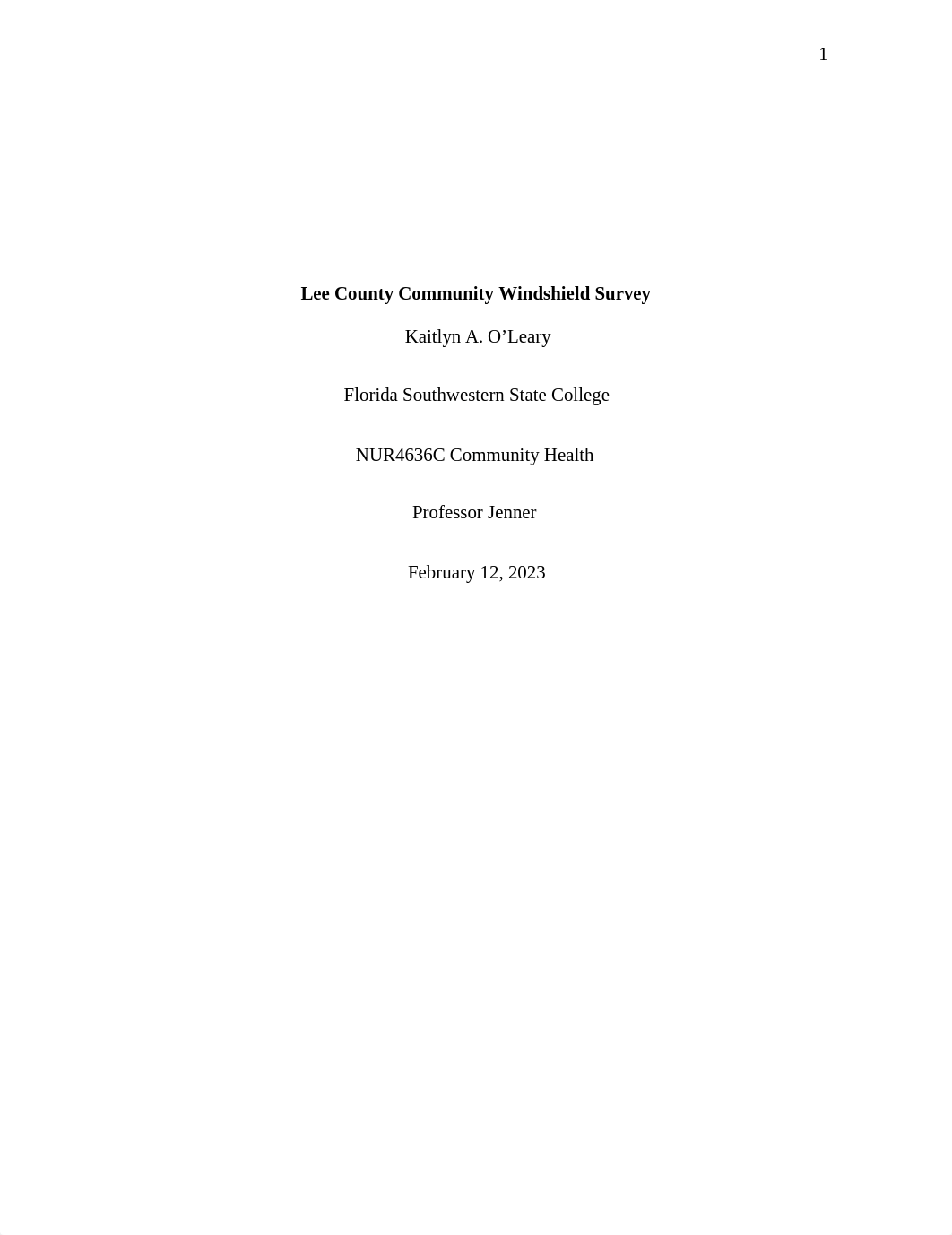 Community Windshield Survey Paper.docx_d9fox3ht3at_page1