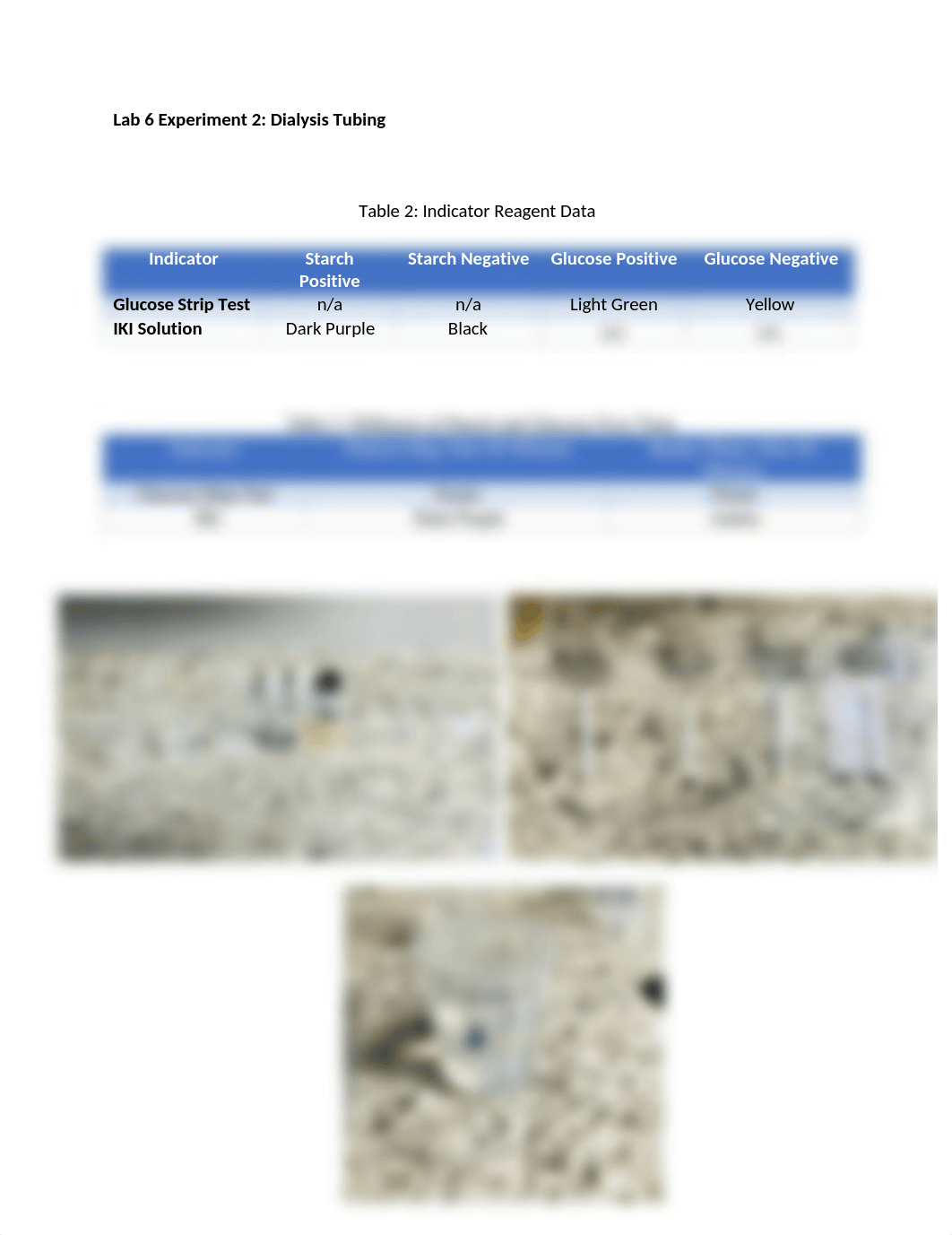 Lab 6 Experiment 2- Dialysis Tubing_Krystal Berline.docx_d9fqov74hd3_page1