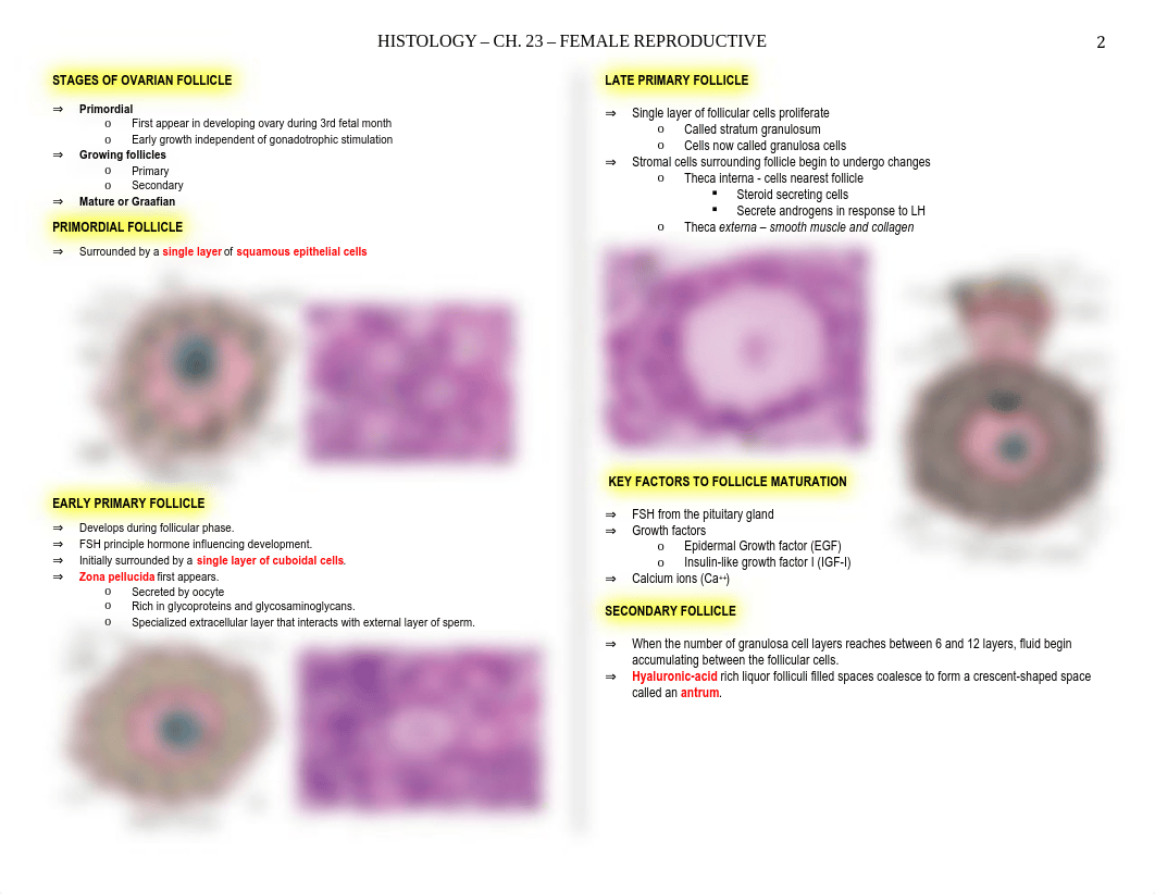 Histo - Female - BL_d9frz2v7kq0_page2