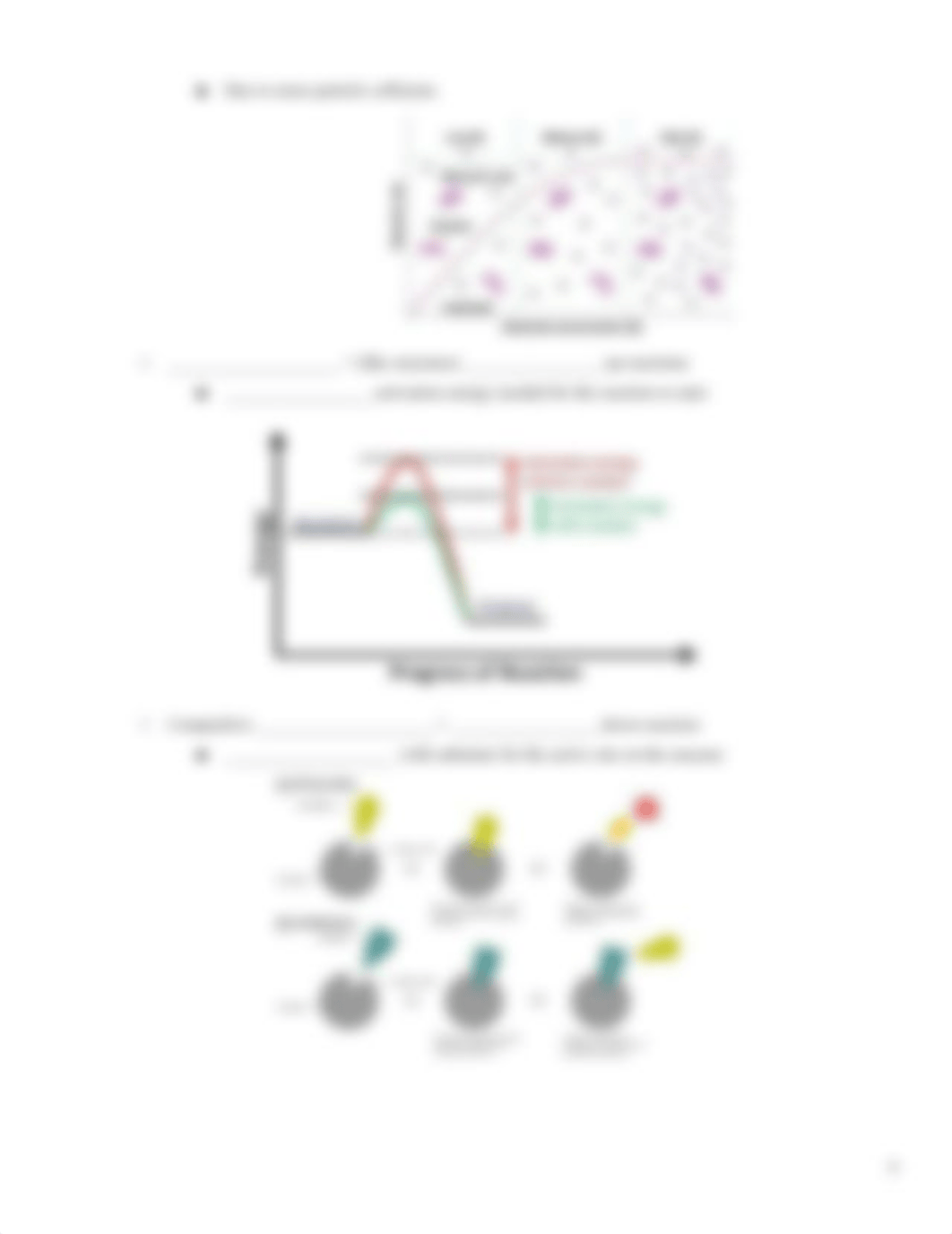 Enzymes Guided Notes .pdf_d9ft1ffy51s_page4