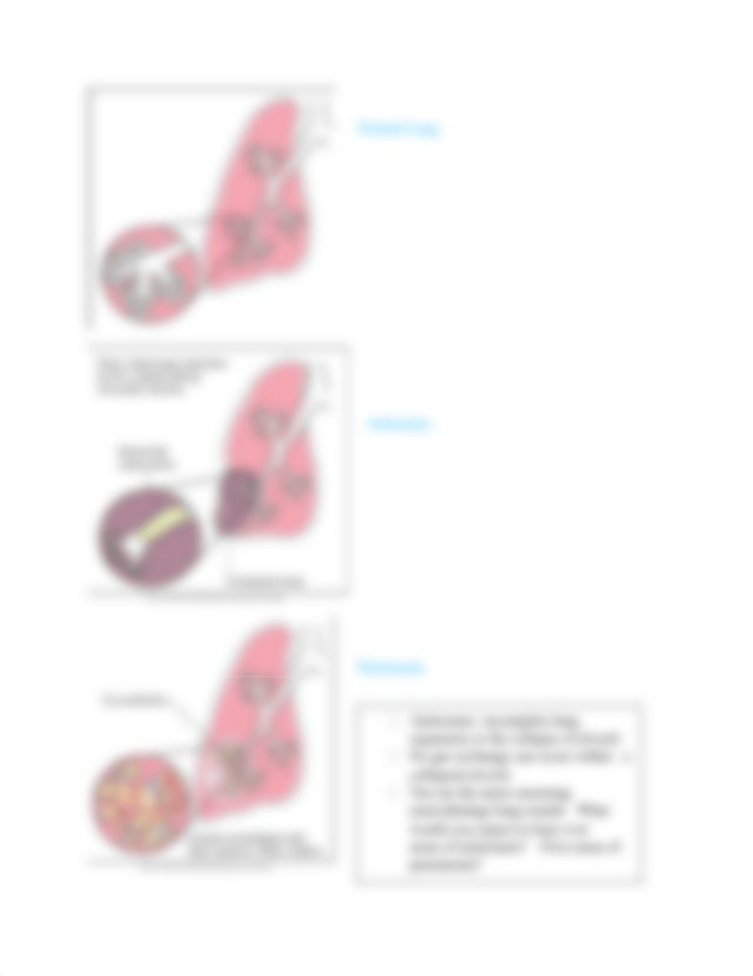 Gas Exchange.docx_d9g0dhkmvym_page4