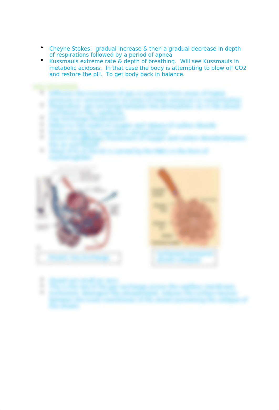 Gas Exchange.docx_d9g0dhkmvym_page3