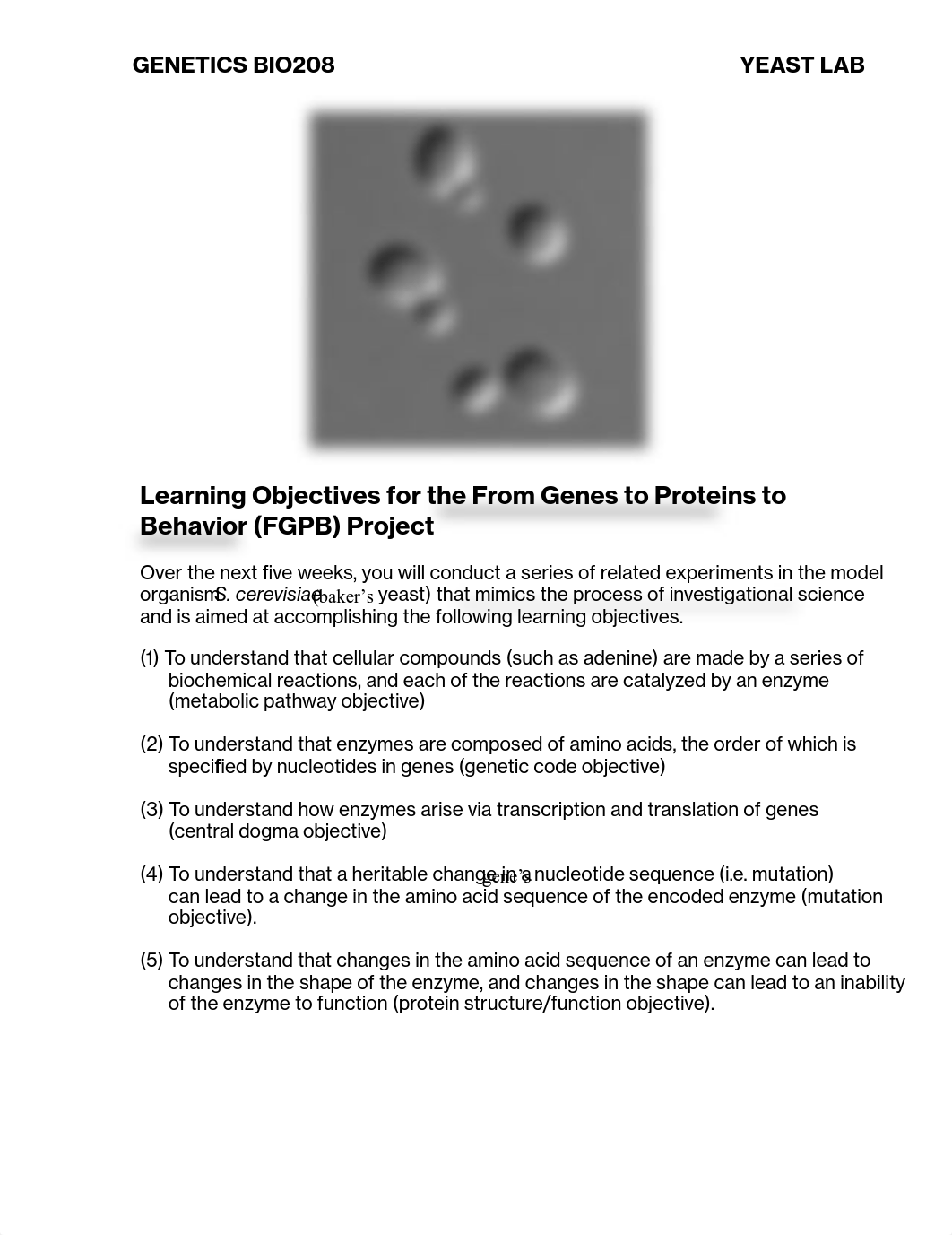 BIO208+Yeast+Genetics+Lab+Week+1+-From+Genes+to+Proteins+to+Behaviors_d9gjoduukmw_page1