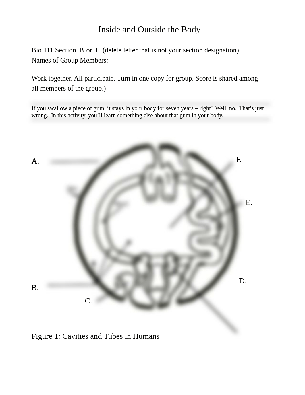 Inside and Outside the Body - St SP21.docx_d9gmew4p748_page1