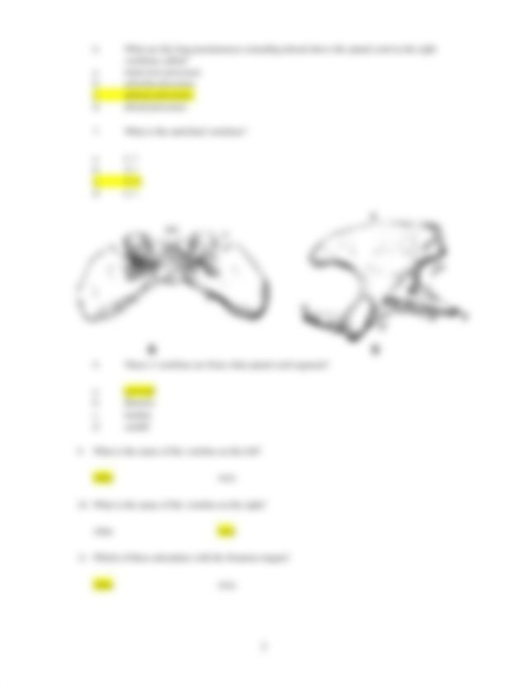 ASSN 3.1 Identifying Bone and Associated Structures attempt 1.docx_d9gqaf5xfck_page3