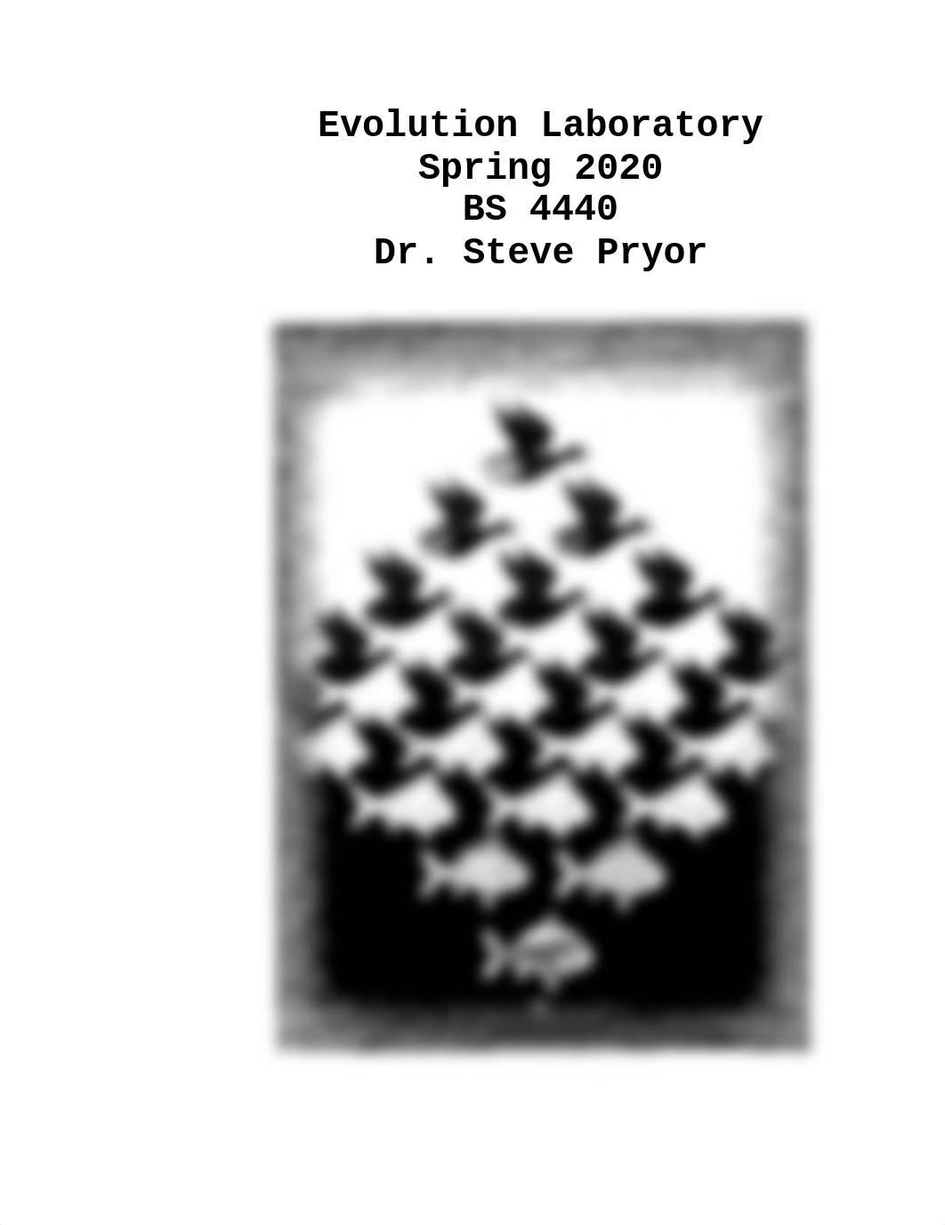 Evolution Laboratory Spring 2020.docx_d9gsfvb8yzw_page1