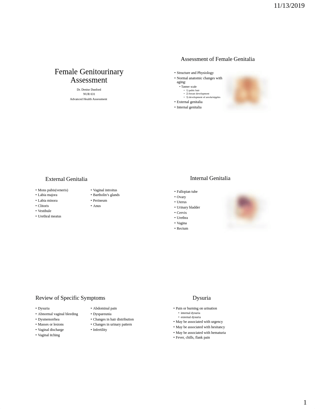 Female Genitourinary Assessment.pdf_d9gt6lwg3xt_page1