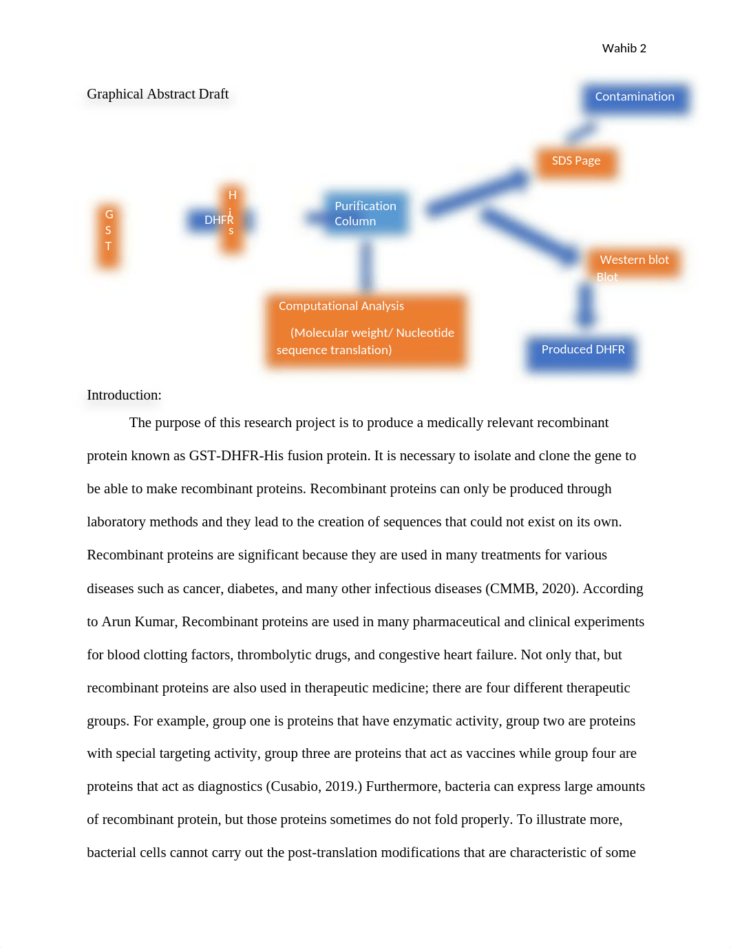 cell bio final lab report.docx_d9gvr1ik9hi_page2