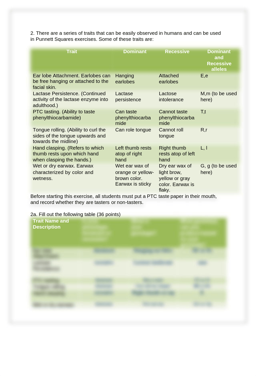 Collett Lab 3.docx_d9gx1mk9brs_page4