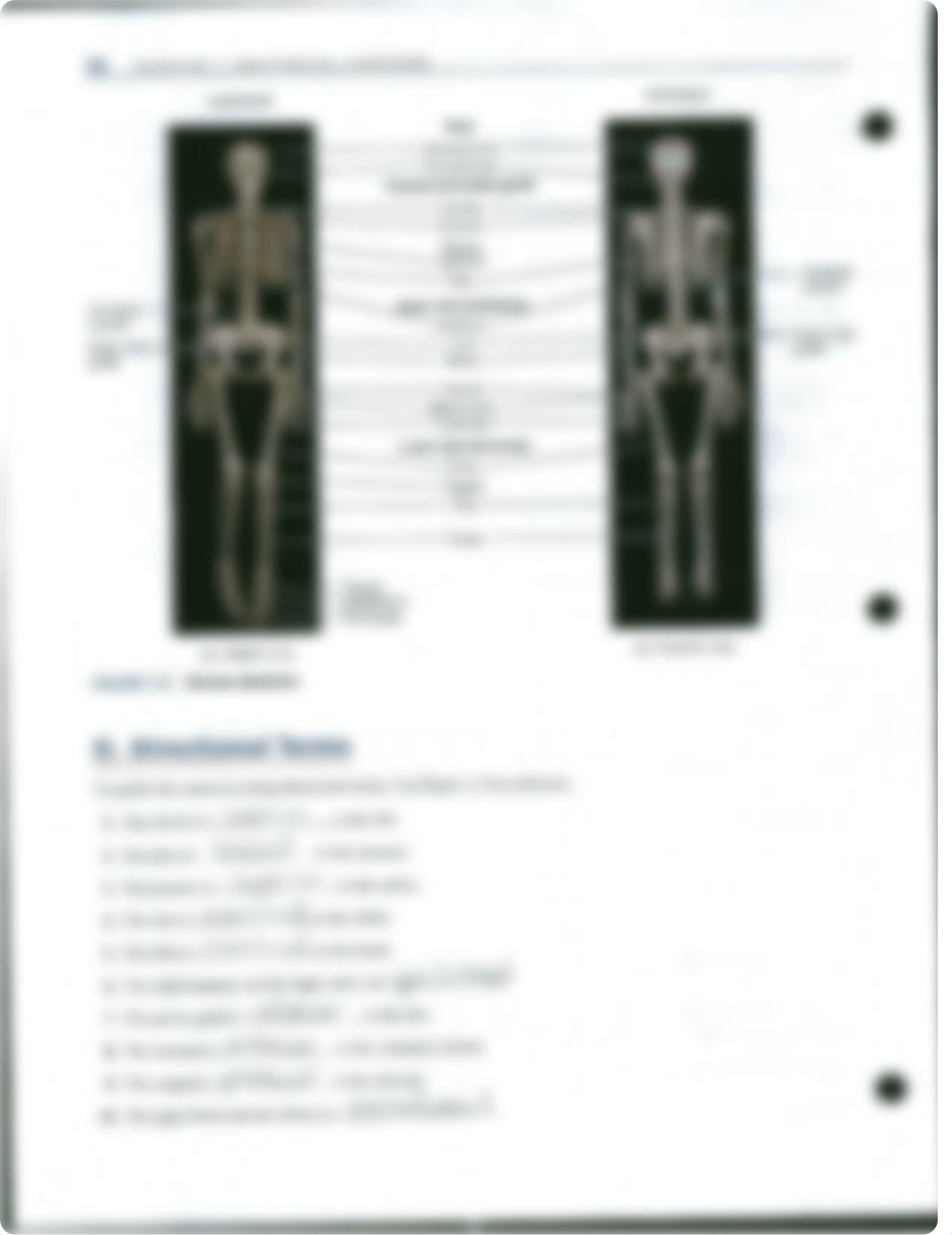 Reviweing your knowledge exercise 1.pdf_d9gyvorwsfw_page1