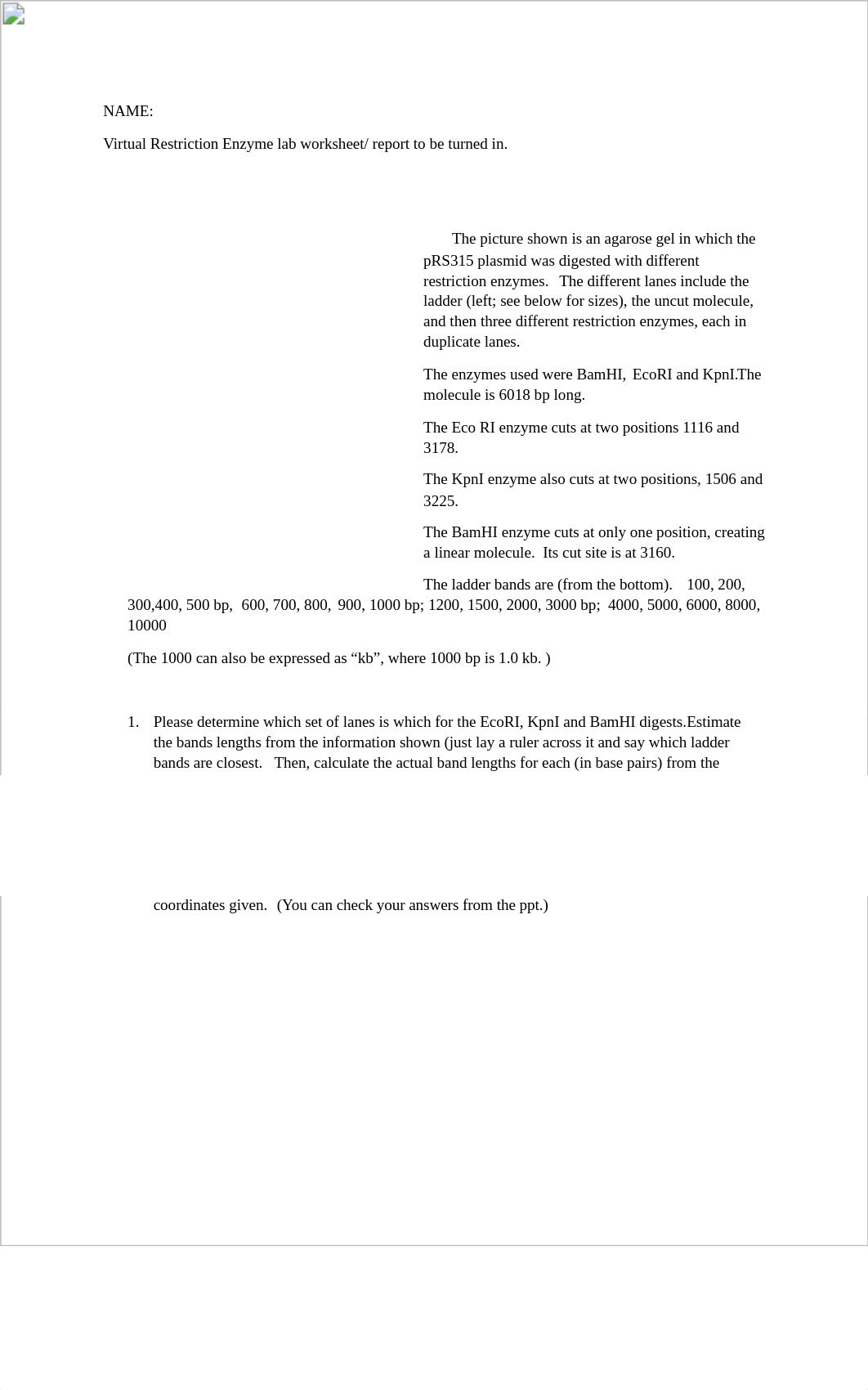 Virtual lab report worksheet Fall 2020.docx_d9h0ksdaprk_page1