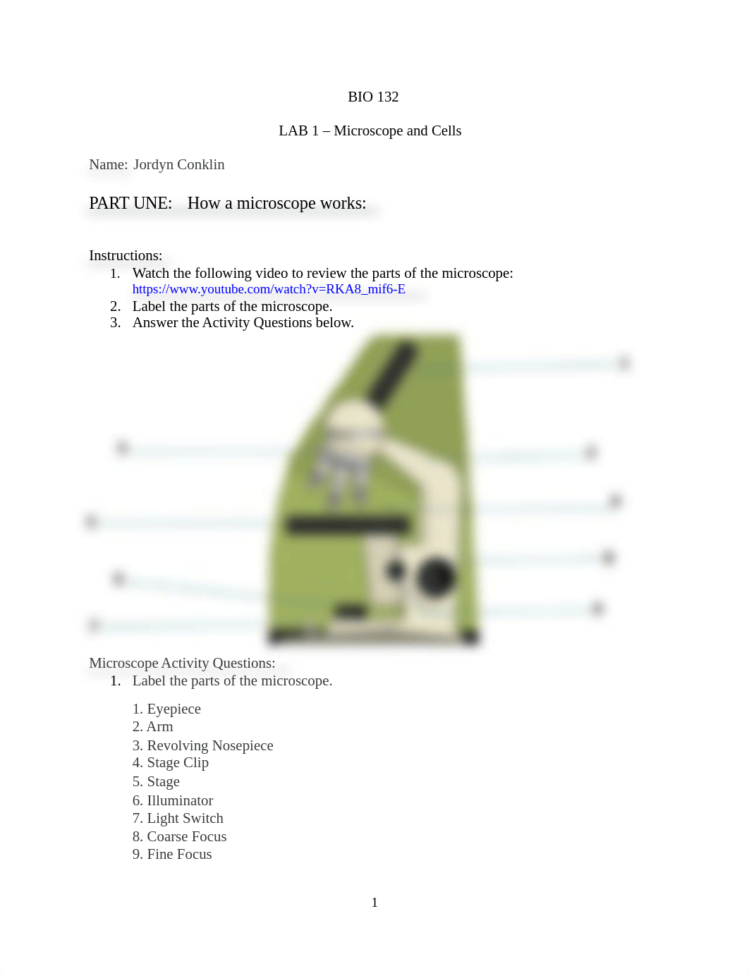 Jordyn Conklin Lab 1.docx_d9h1kmvk24q_page1