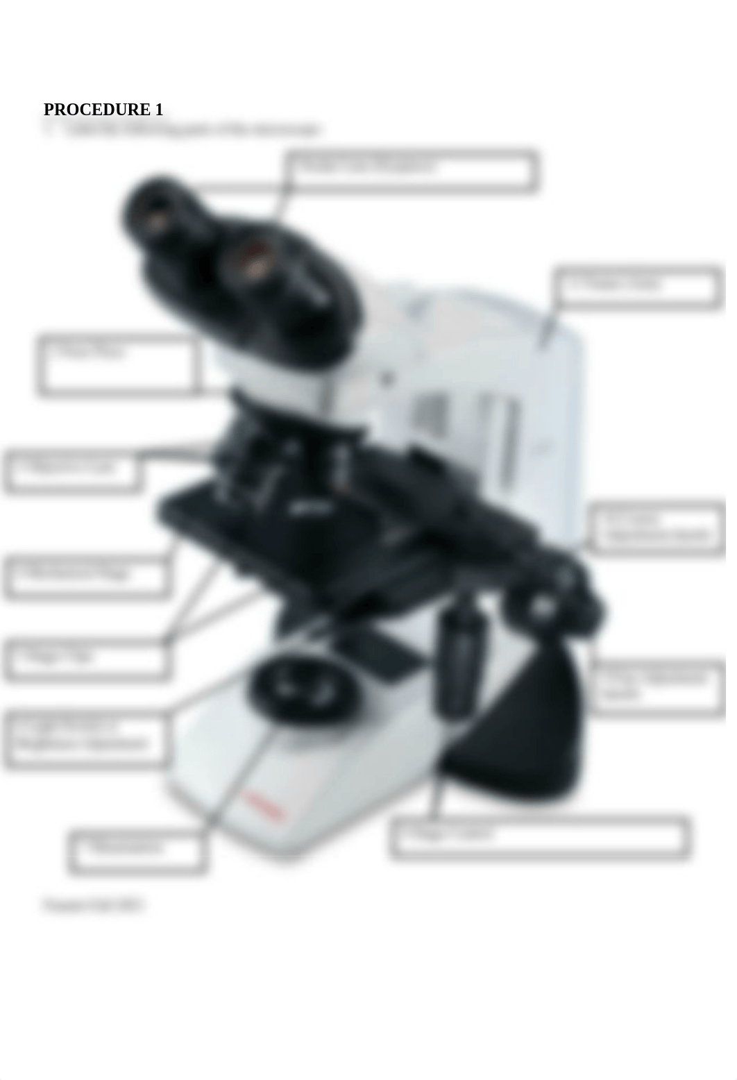 Lab1_Microscopes_Frausto_SonnyScott.docx_d9hbggg8ox2_page2