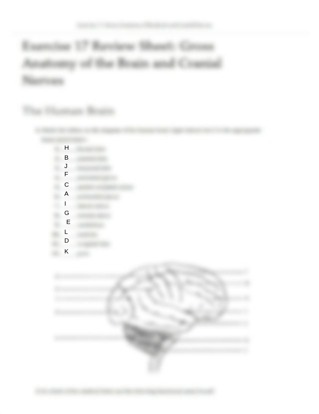 Ex17 Review sheet - Gross Anatomy of teh Brain and Cranial Nerves (1).pdf_d9hm4zxzr9m_page1