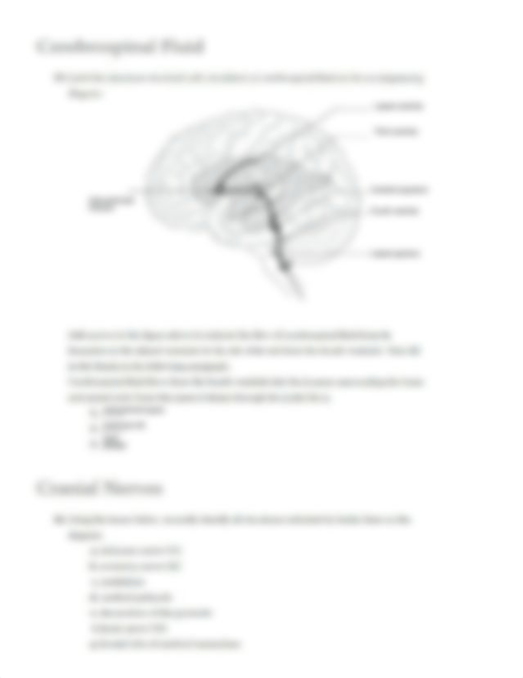 Ex17 Review sheet - Gross Anatomy of teh Brain and Cranial Nerves (1).pdf_d9hm4zxzr9m_page5