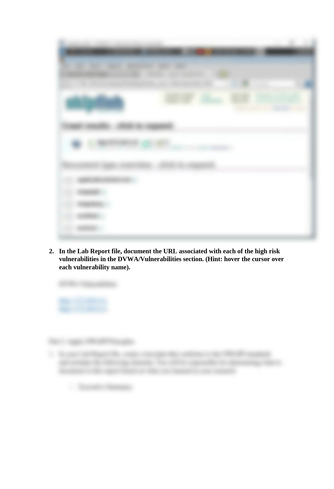 Lab #5  Applying OWASP to a Web Security Assessment COMPLETED #2.docx_d9hwt8z8djh_page3