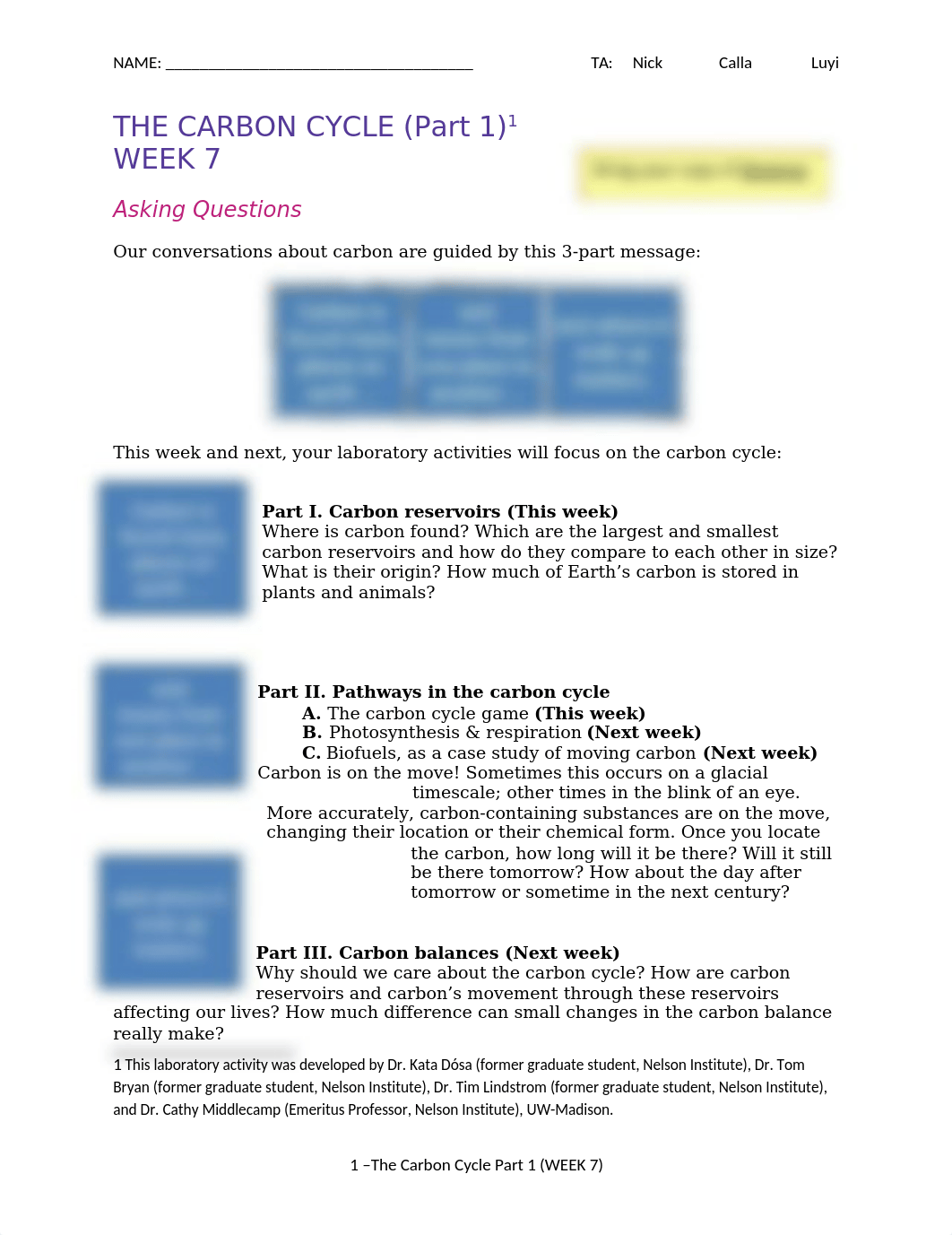 Lab Week 7 - Carbon Cycle Part 1 FA22.rtf_d9i2jxwmcjy_page1